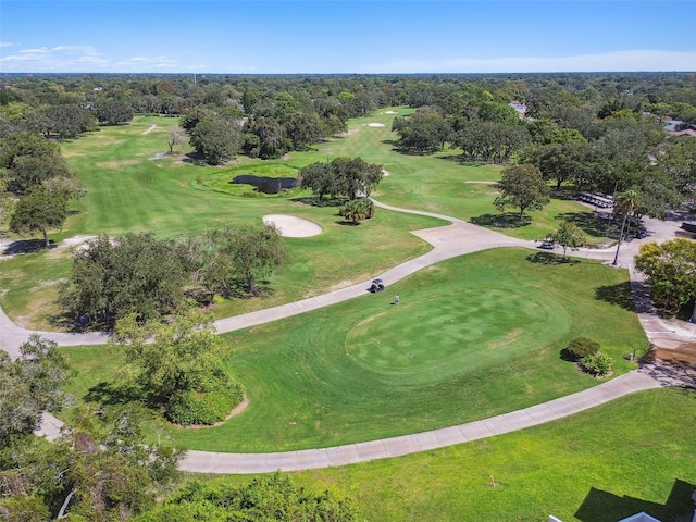 12101 Meadowbrook Ln, Hudson, FL 34667 - bird's eye view of a local golf course