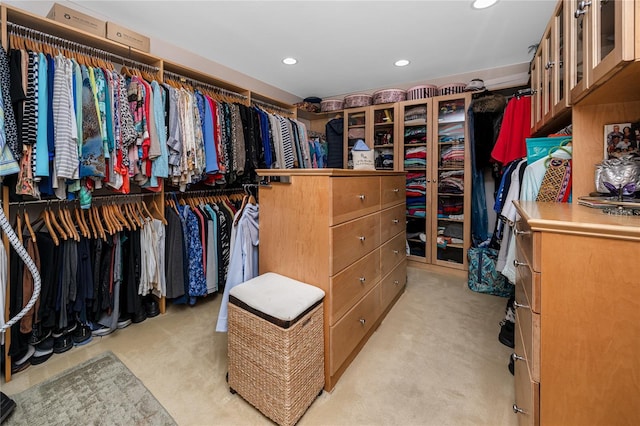224 Harbor View Ln, Largo, FL 33770 - spacious closet featuring light colored carpet