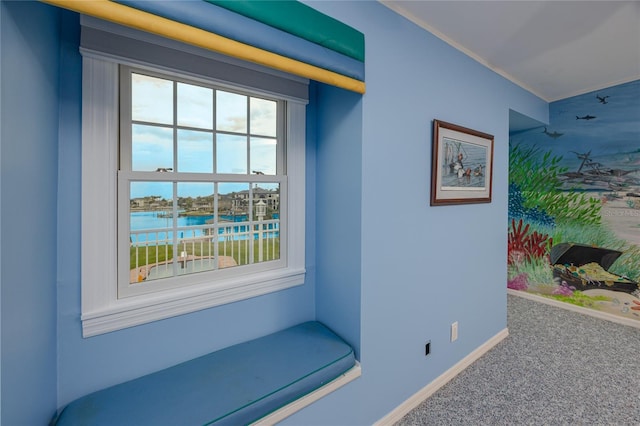 224 Harbor View Ln, Largo, FL 33770 - corridor featuring carpet and a water view