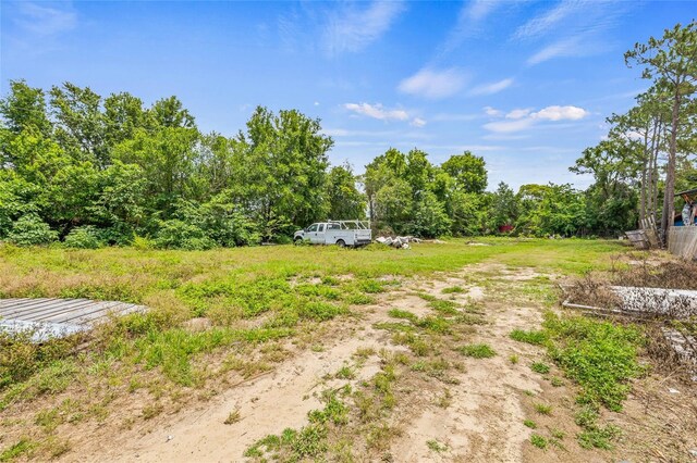1607 Bell Shoals Rd, Brandon, FL 33511 - photo 38