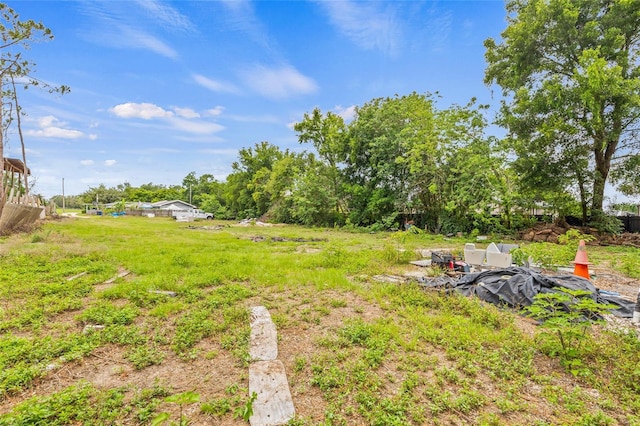 1607 Bell Shoals Rd, Brandon, FL 33511 - photo 40
