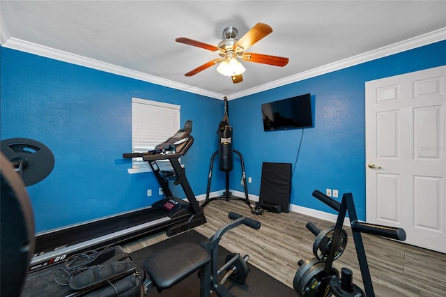 538 Bamboo Ln, Clearwater, FL 33764 - photo 17