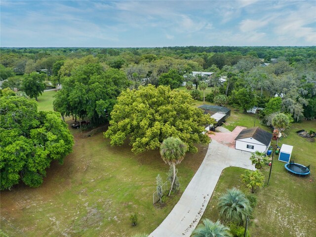 9615 Raiden Ln, Riverview, FL 33569 - drone / aerial view of a forest