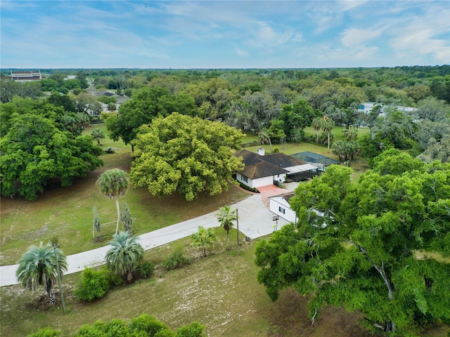 9615 Raiden Ln, Riverview, FL 33569 - view of subject property featuring a heavily wooded area