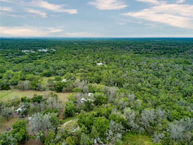 9615 Raiden Ln, Riverview, FL 33569 - aerial view of a heavily wooded area