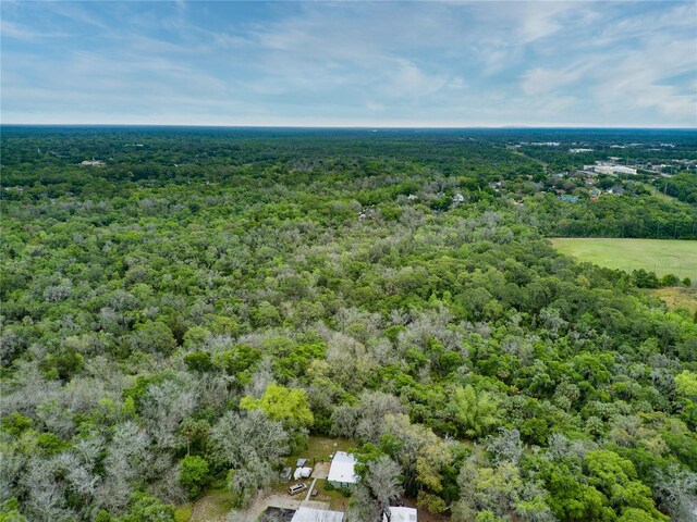 9615 Raiden Ln, Riverview, FL 33569 - aerial view of a forest