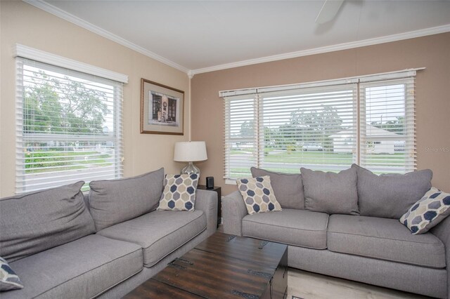 1001 57th Ave N, Saint Petersburg, FL 33703 - photo 6