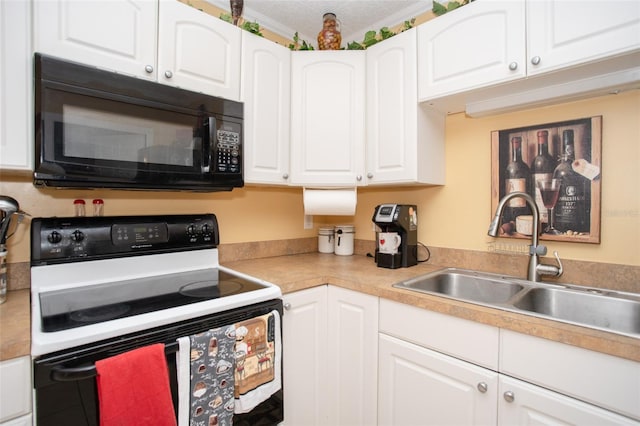 1001 57th Ave N, Saint Petersburg, FL 33703 - photo 10