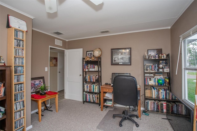 1001 57th Ave N, Saint Petersburg, FL 33703 - photo 20