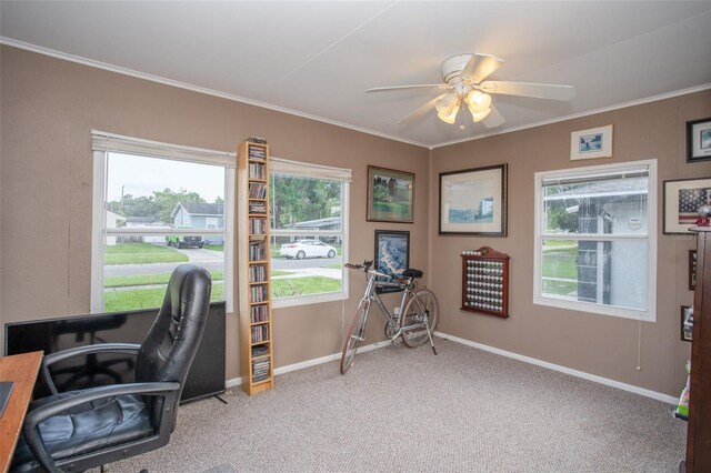 1001 57th Ave N, Saint Petersburg, FL 33703 - photo 21