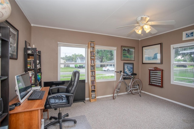 1001 57th Ave N, Saint Petersburg, FL 33703 - photo 22