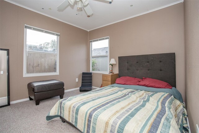 1001 57th Ave N, Saint Petersburg, FL 33703 - photo 24