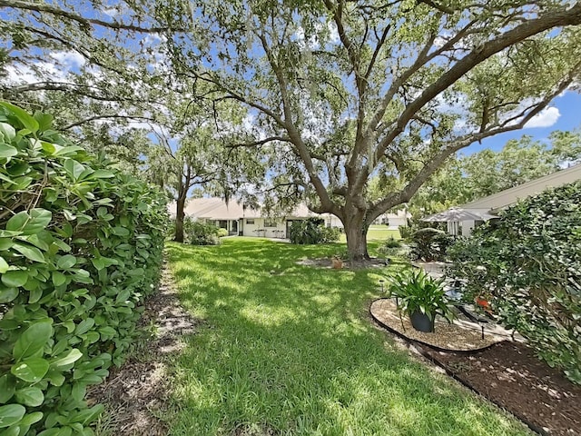 3504 Wedge Way, New Port Richey, FL 34655 - view of green lawn