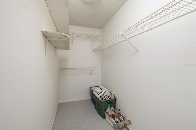 6190 80th St N Unit 310, Saint Petersburg, FL 33709 - photo 28