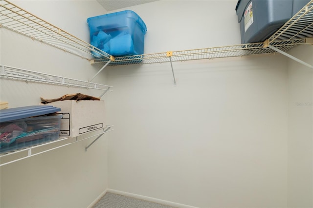 6190 80th St N Unit 310, Saint Petersburg, FL 33709 - photo 32