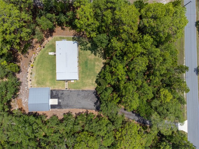 7039 S Straight Ave, Homosassa, FL 34446 - photo 19