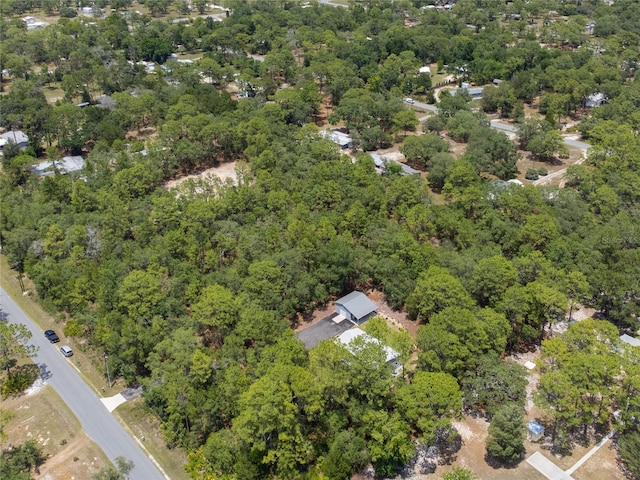 7039 S Straight Ave, Homosassa, FL 34446 - photo 20