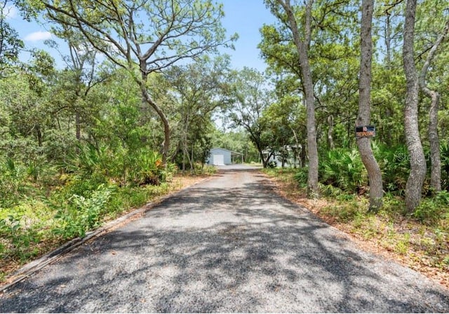 7039 S Straight Ave, Homosassa, FL 34446 - photo 22