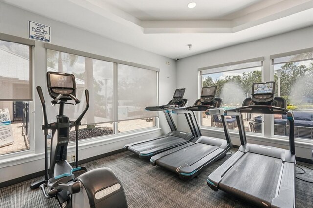 13128 Foxtail Fern Dr, Riverview, FL 33579 - exercise room featuring carpet floors and a raised ceiling
