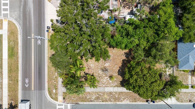 Iroquois St, Clearwater, FL 33755 - photo 3