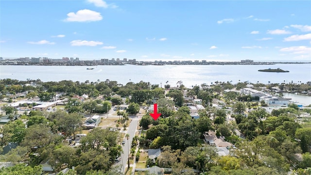 Iroquois St, Clearwater, FL 33755 - photo 6