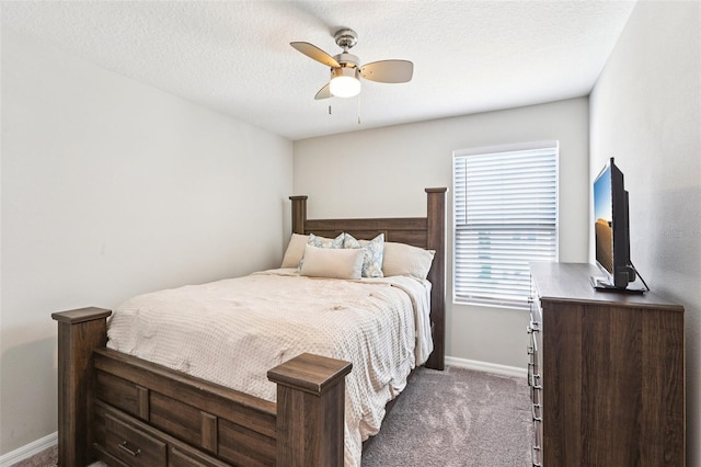 12811 Bent Twig Dr, Riverview, FL 33579 - photo 31