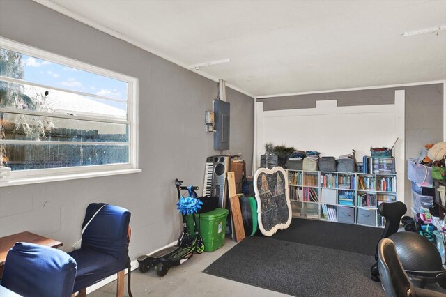 3615 Greatwood Ct, Land O Lakes, FL 34639 - workout area with electric panel