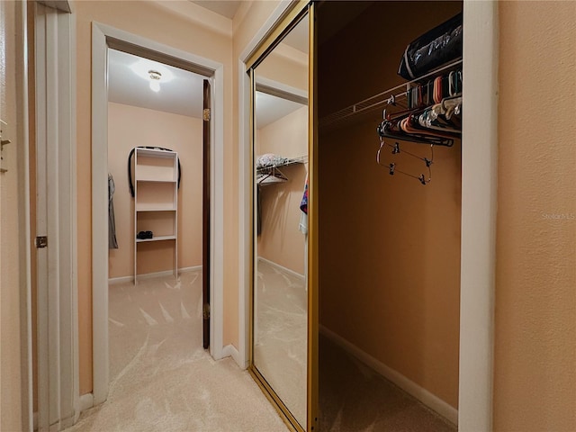 5004 Grainary Ave, Tampa, FL 33624 - walk in closet featuring light colored carpet
