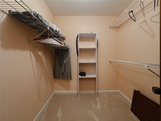 5004 Grainary Ave, Tampa, FL 33624 - walk in closet featuring carpet