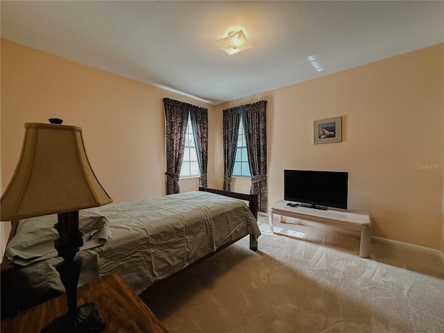 5004 Grainary Ave, Tampa, FL 33624 - bedroom with baseboards and carpet flooring