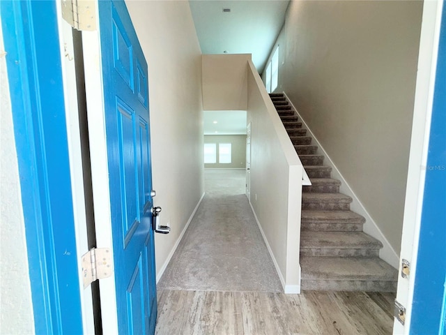13118 Zolo Springs Cir, Riverview, FL 33579 - staircase with wood finished floors and baseboards