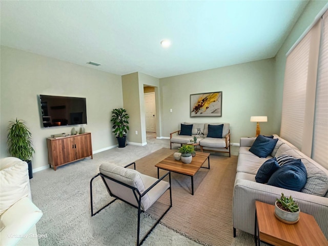 13118 Zolo Springs Cir, Riverview, FL 33579 - living room with carpet flooring and baseboards