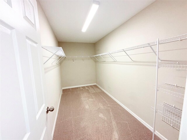 13118 Zolo Springs Cir, Riverview, FL 33579 - walk in closet featuring carpet