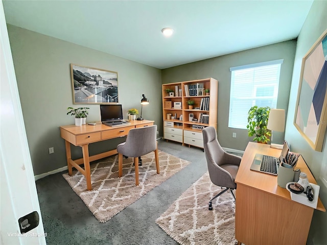 13118 Zolo Springs Cir, Riverview, FL 33579 - carpeted home office featuring baseboards