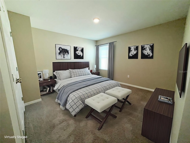 13118 Zolo Springs Cir, Riverview, FL 33579 - bedroom featuring baseboards and carpet floors