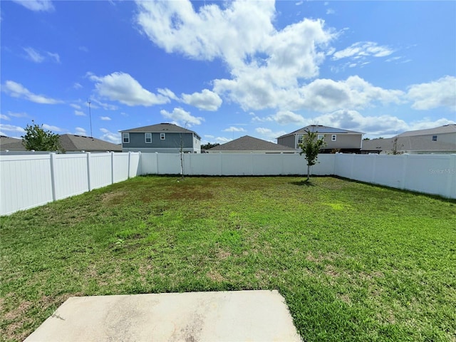 13118 Zolo Springs Cir, Riverview, FL 33579 - view of yard