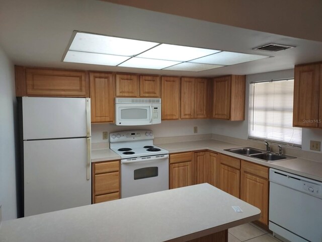 4111 Ashford Green Pl Unit B203, Tampa, FL 33613 - photo 5