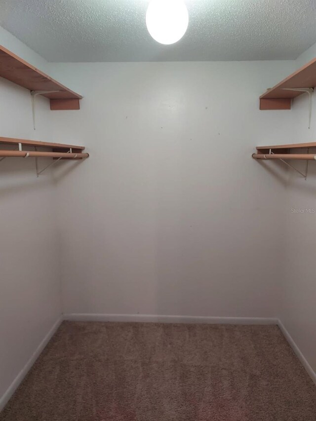 4111 Ashford Green Pl Unit B203, Tampa, FL 33613 - photo 7
