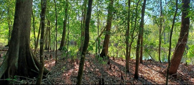 7909 S Leslie Pt, Floral City, FL 34436 - photo 3