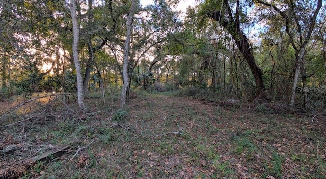 7909 S Leslie Pt, Floral City, FL 34436 - photo 6
