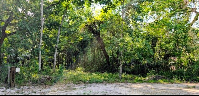 7909 S Leslie Pt, Floral City, FL 34436 - photo 8