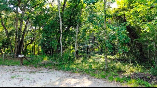 7909 S Leslie Pt, Floral City, FL 34436 - photo 9