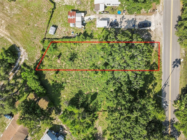 4617 E Lake Ave, Tampa, FL 33610 - photo 2