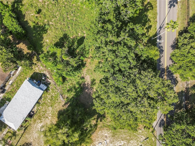 4617 E Lake Ave, Tampa, FL 33610 - photo 4