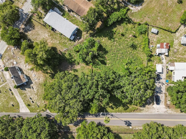 4617 E Lake Ave, Tampa, FL 33610 - photo 5