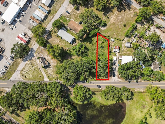 4617 E Lake Ave, Tampa, FL 33610 - photo 14