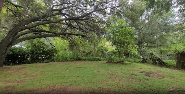 3513 Danny Bryan Blvd, Tampa, FL 33619 - view of grassy yard with a wooded view