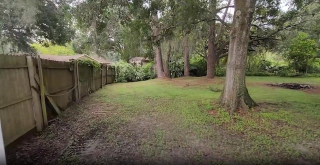 3513 Danny Bryan Blvd, Tampa, FL 33619 - view of yard