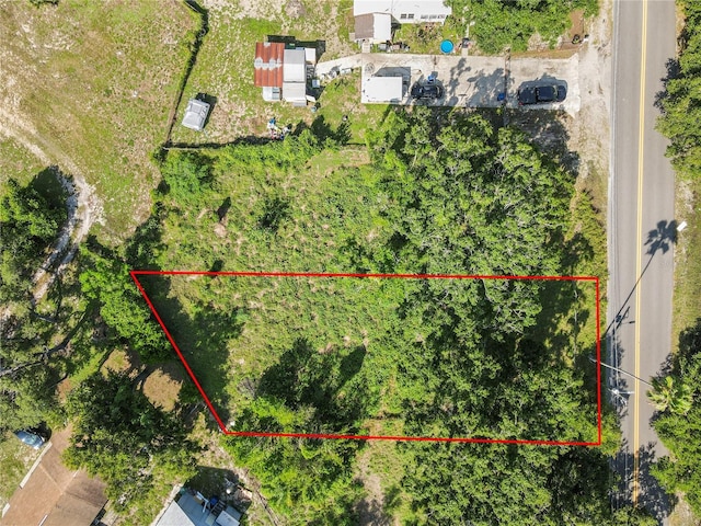 4619 E Lake Ave, Tampa, FL 33610 - photo 3