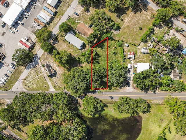 4619 E Lake Ave, Tampa, FL 33610 - photo 15